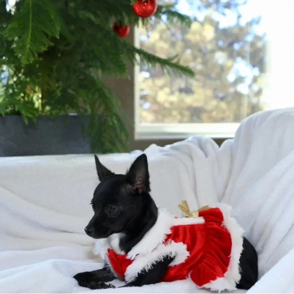 Santa Christmas dress - Picture 2 of 2